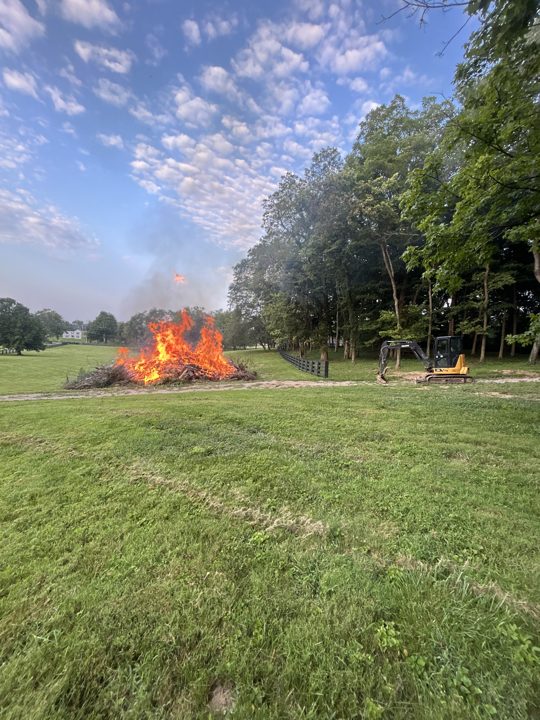 Brush pile burning beside a cleared area